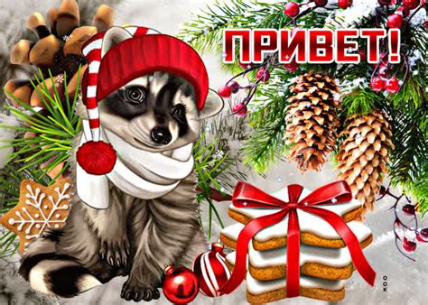 Магнетическая открытка Привет! С енотом - Скачать бесплатно на ...