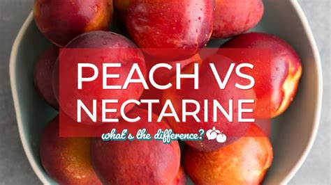 Peach Vs Nectarine The Kitchen Community