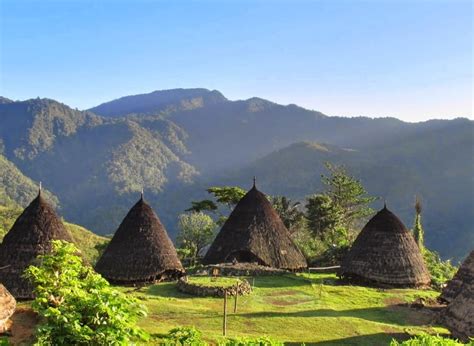 Ciri-Cir Iklim Tropis di Indonesia - Thegorbalsla