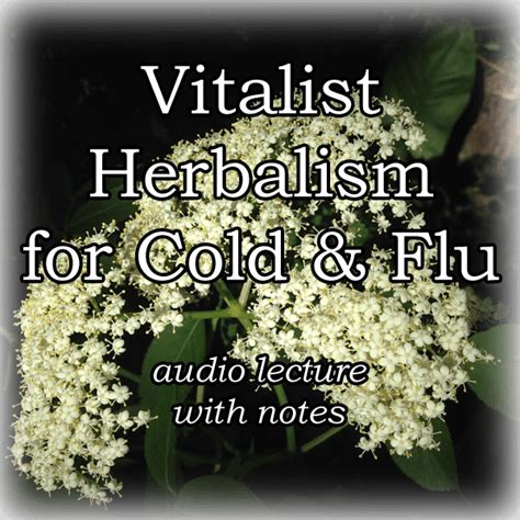 Vitalist Herbalism For Cold Flu CommonWealth Holistic Herbalism