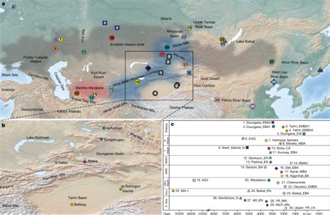 The Genomic Origins Of Bronze Age Tarim Basin Mummies