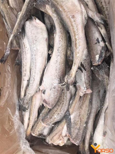 Минтай БГ 30 см+ штучная заморозка