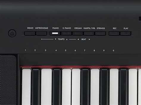 Np Overview Piaggero Keyboard Instruments Musical