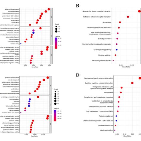 GO And KEGG Enrichment Analyses Of KRT17 Correlated Genes In BC Tissues