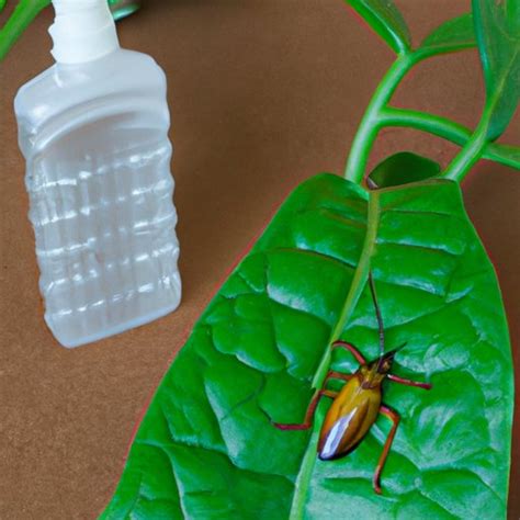 How To Stop Bugs Eating Plants 8 Solutions The Enlightened Mindset