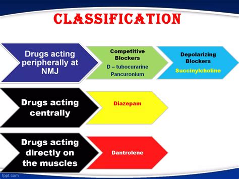 Smooth muscle relaxants | PPT