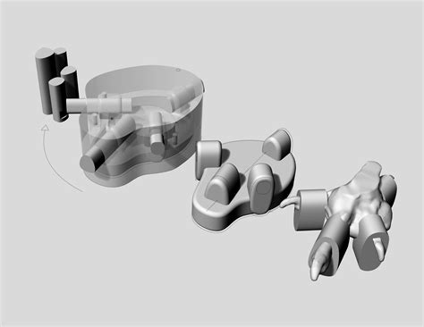 Birds of prey wear 3D-printed shoes to treat foot disease