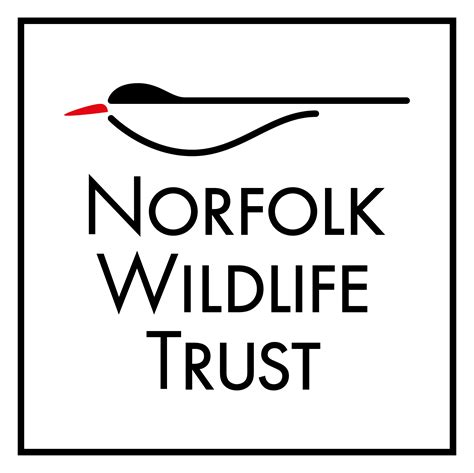 Home | Norfolk Wildlife Trust