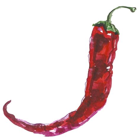 Premium Psd Watercolor Painted Red Chili Pepper Hand Drawn Fresh Food