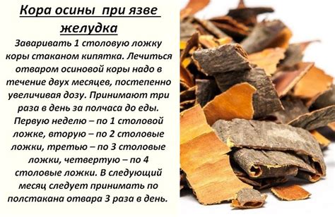 Кора осины — лечебные свойства и противопоказания, применение и отзывы