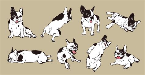 Cute French Bulldog vector set 11979876 Vector Art at Vecteezy