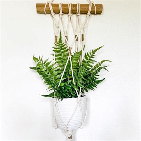 Easy Diy Macrame Plant Hanger Wall Hanging Tutorial Joyful Derivatives