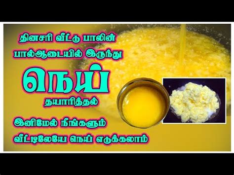 Ghee Making Ghee Making At Home How To Make Ghee At Home In Tamil Ghee