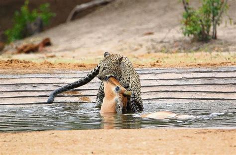 Hanno Erasmus Passionate Modest Amateur Photographer Artofit