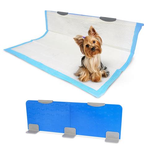 Why Does My Female Dog Pee On Furniture at Phoebe Wardill blog