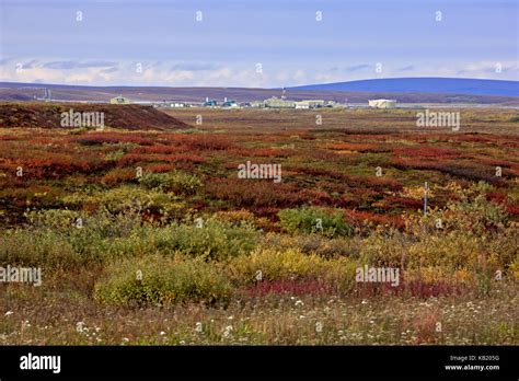 North America The Usa Alaska North Slope Arctic Tundra Supply