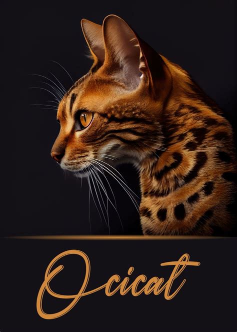 Ocicat Poster By Artistic Paradigms Displate