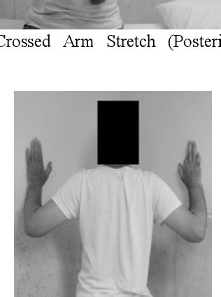 Figure From The Effects Of Scapular Stabilization Based Exercise