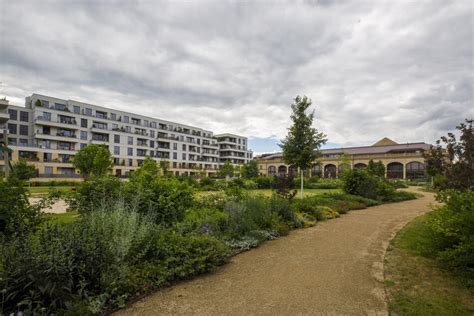 Schwere Vergewaltigung in Dresden Jähriger soll Frau zu Sex gezwungen haben