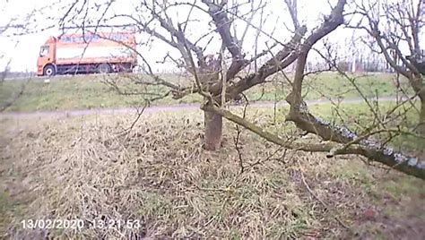 Collant Rosa Aperte Gay Crossdresser Hd Porn Video Xhamster