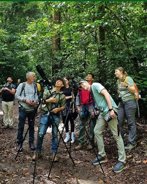 Birdwatching In Monteverde Costa Rica Monteverde Birdwatching And