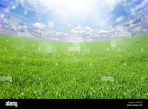 Eco Background Green Field Blue Sky Bright Sun Heaven On Earth