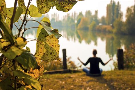Autumn Yoga Quotes Quotesgram