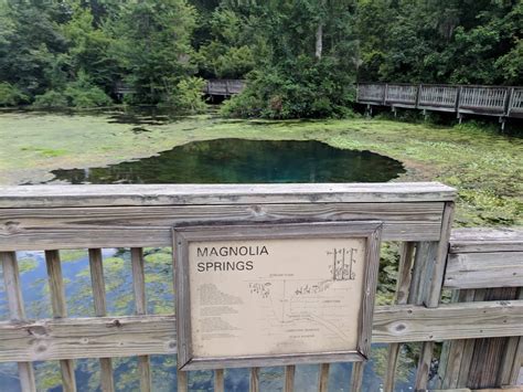 5 Notes on Visiting Magnolia Springs State Park