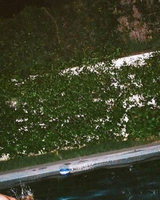 Emily Wickersham Nude Porn Pictures XXX Photos Sex Images PICTOA