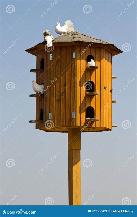 Palomas Blancas Que Se Sientan En Un Palomar Imagen De Archivo Imagen