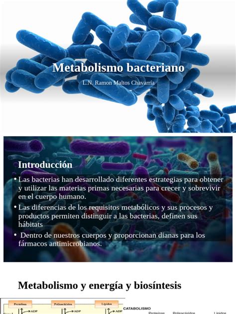 Metabolismo En Las Bacterias - Metabolismo Bacteriano en Humanos | PDF | Glucólisis | Respiración celular