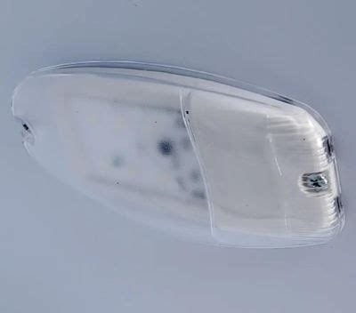 Холодильник однокамерный Бирюса Б-109 белый – купить в Ситилинк | 1031942