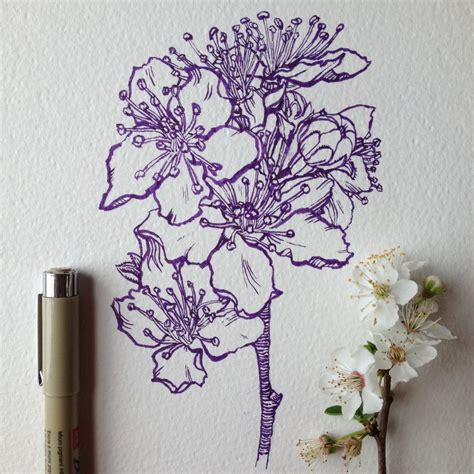 Pen Flower Drawing