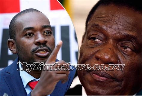 Zanu Pf Central Committee Report Sleepless Nights Spent Over Chamisa