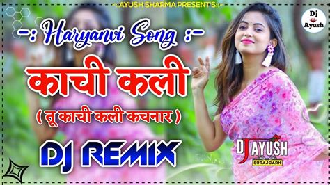 Tu Kachi Kali Kachnar Dj Remix Song कच कल Dj Ayush Sharma New