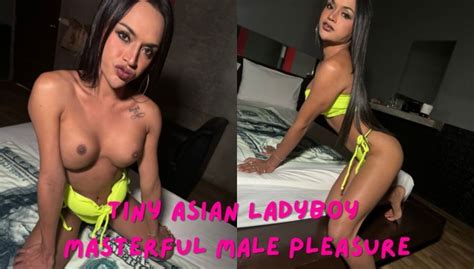 Asian Trans VR Porn Get Lost In Exotic Pleasure VRPorn