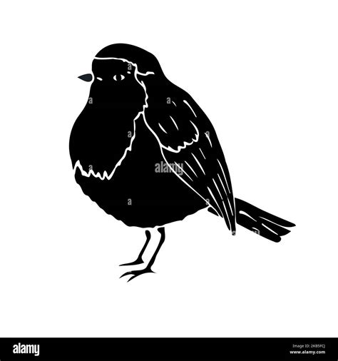Vector Hand Drawn Doodle Sketch Black Robin Redbreast Bird Isolated On