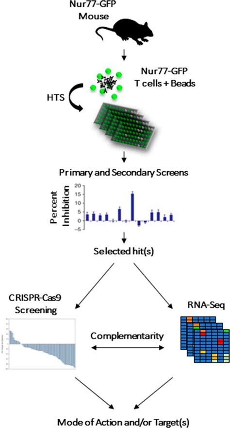 Frontiers Recent Advances In Cancer Drug Discovery Through The Use Of