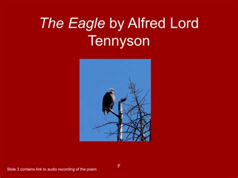 The Eagle by Alfred Lord Tennyson