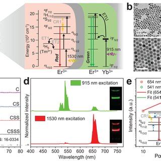 a) Schematic illustration of using the... | Download Scientific Diagram