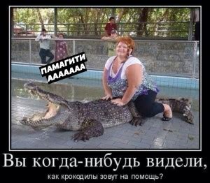 crocodiles - Создать мем - Meme-arsenal.com