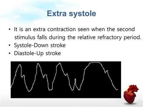 Cardiac muscle physiology | PPT