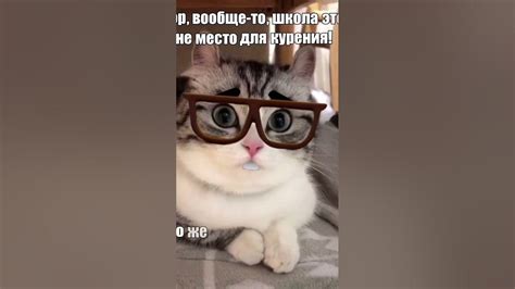 Комару - YouTube