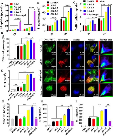 In Vitro Cellular Uptake Antigen Delivery And Immune Stimulating