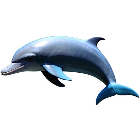Download Dolphin Icon Png 75