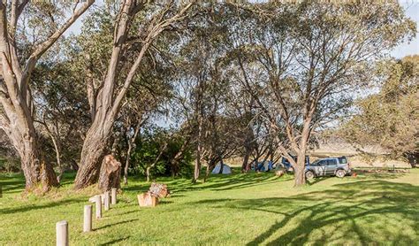 Long Plain Hut Campground Nsw National Parks