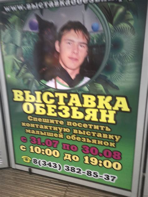 Хотите посмотреть на обезьянку? | Пикабу