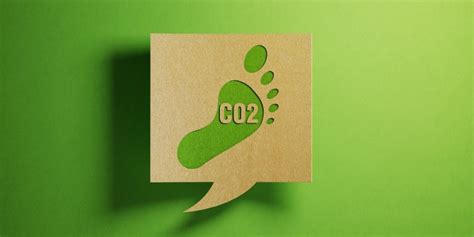 6 Ways to Reduce Your Environmental Footprint – Healthy Housing