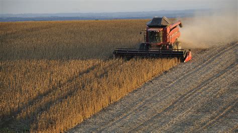 Rusagro board of directors approves dividends for 2021 Rusagro from 2/28/22