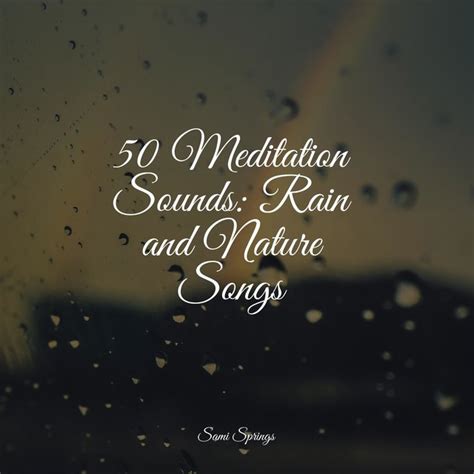 Meditation Sounds Rain And Nature Songs By Ambient Arena On Tidal